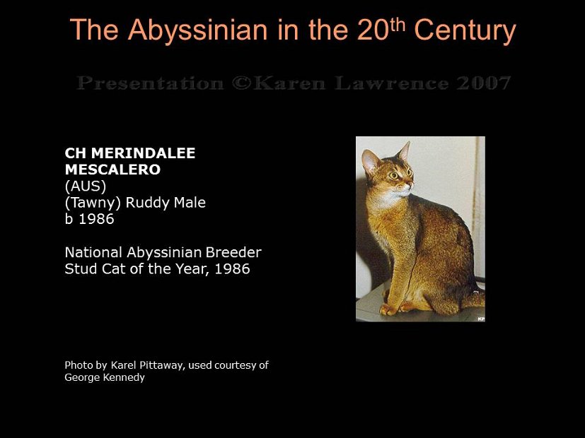 Slide315