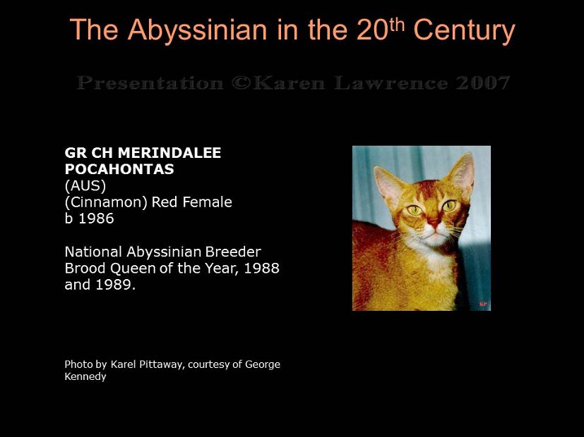 Slide316