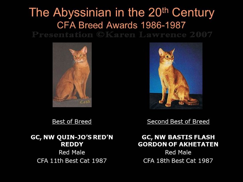 Slide319