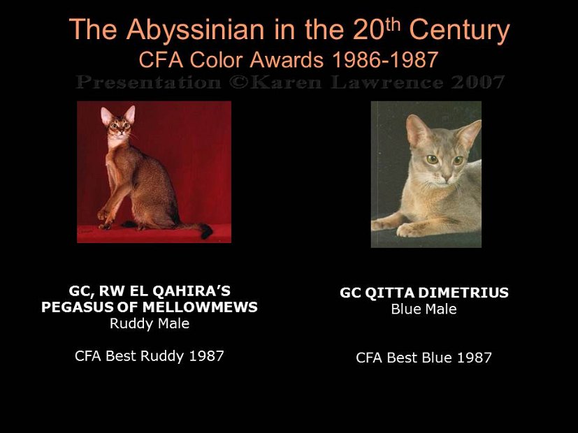Slide321
