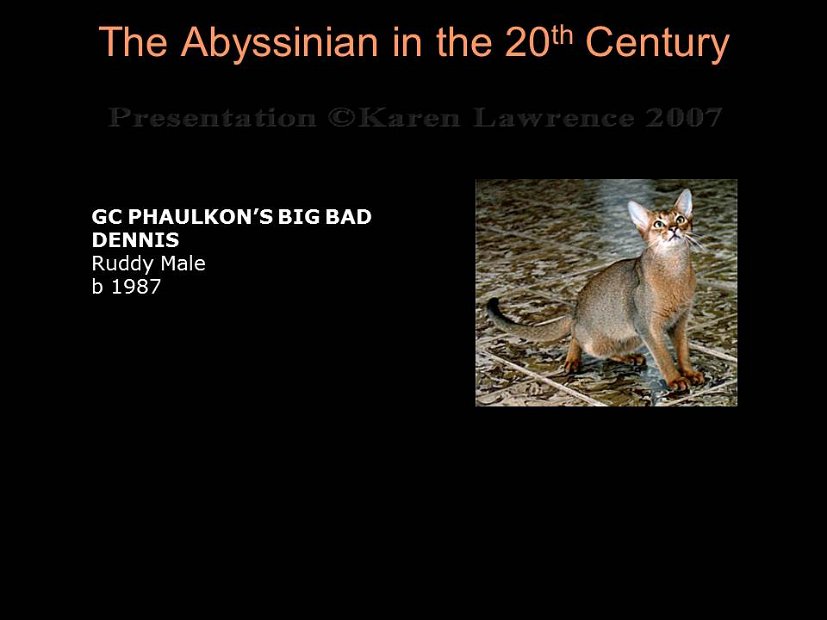 Slide322