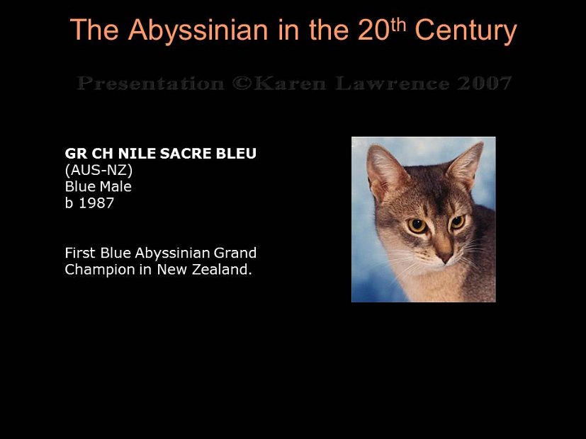 Slide323