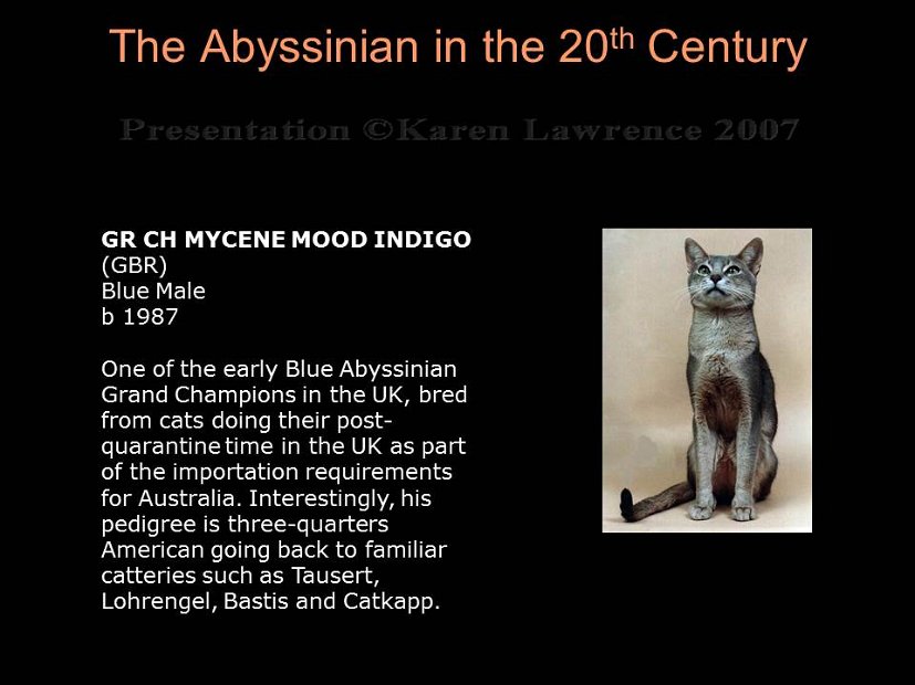 Slide324