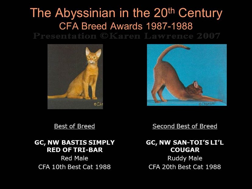 Slide325