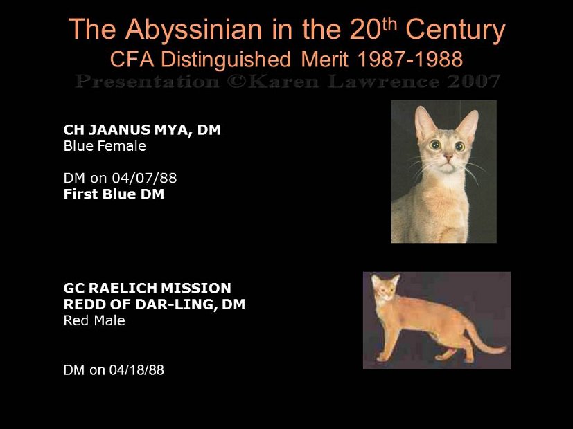 Slide327