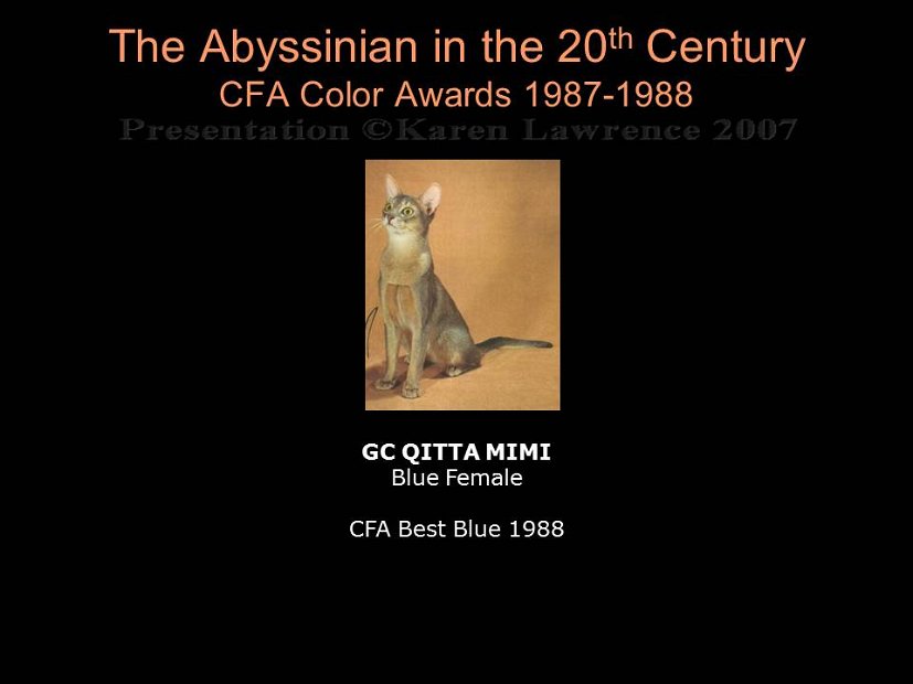 Slide329