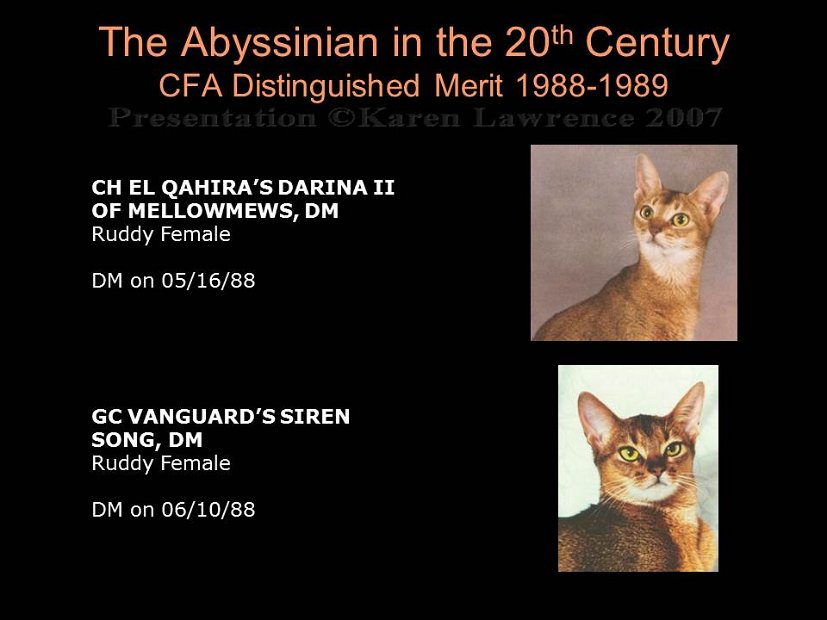 Slide333