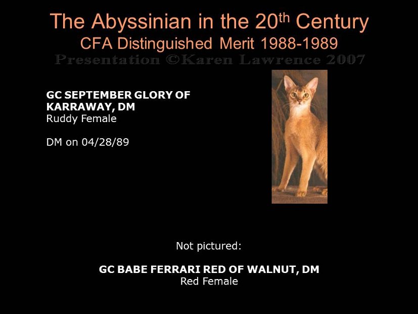 Slide337