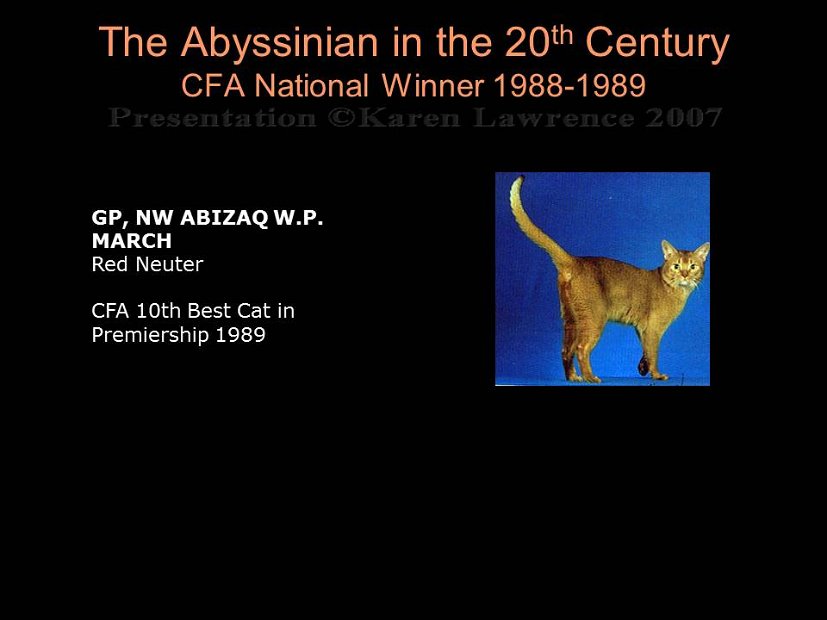 Slide339