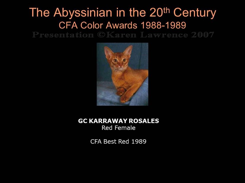 Slide340