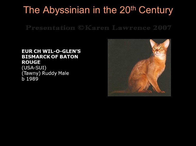 Slide341