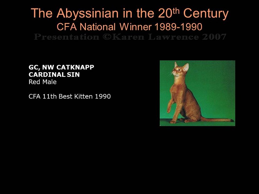 Slide347