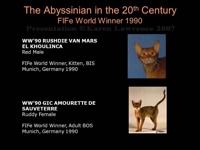 Slide351
