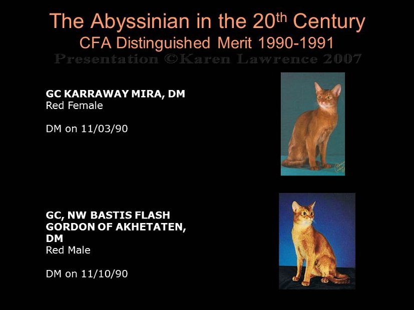 Slide354