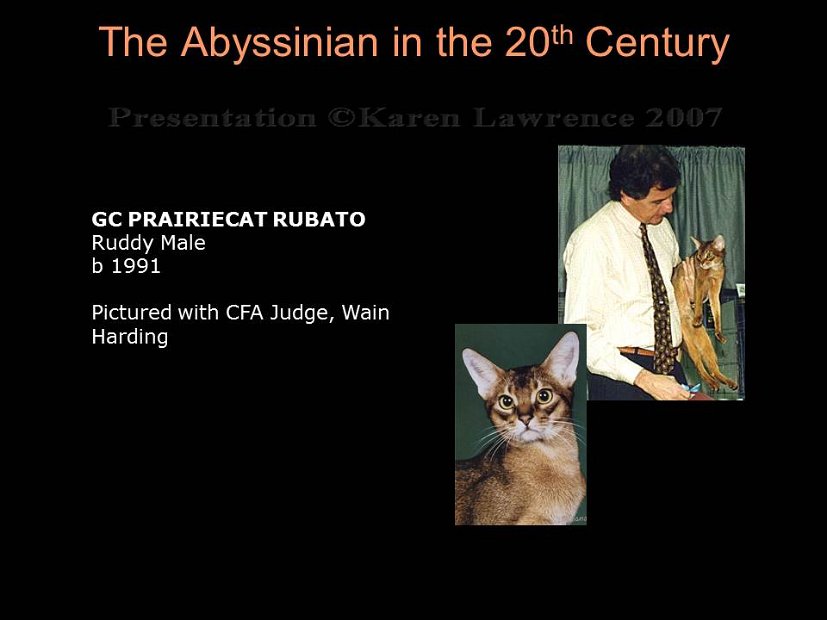 Slide358