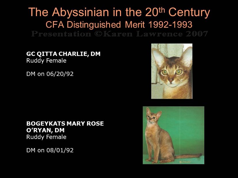 Slide368