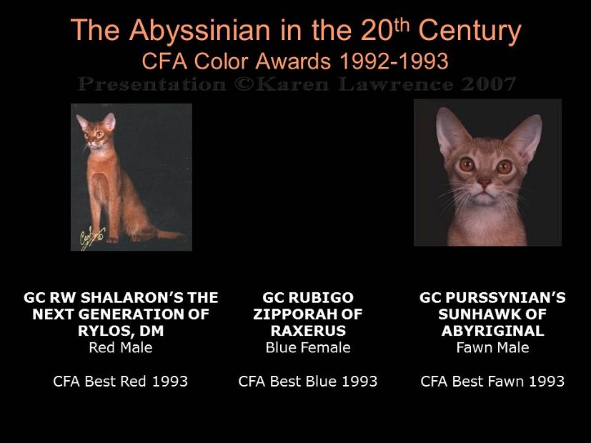 Slide373