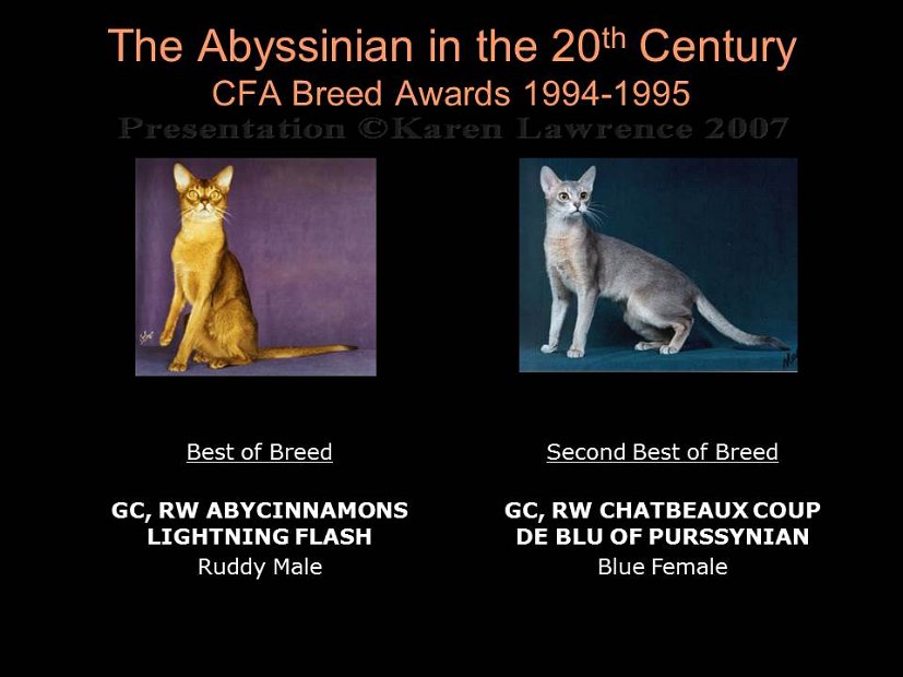 Slide386