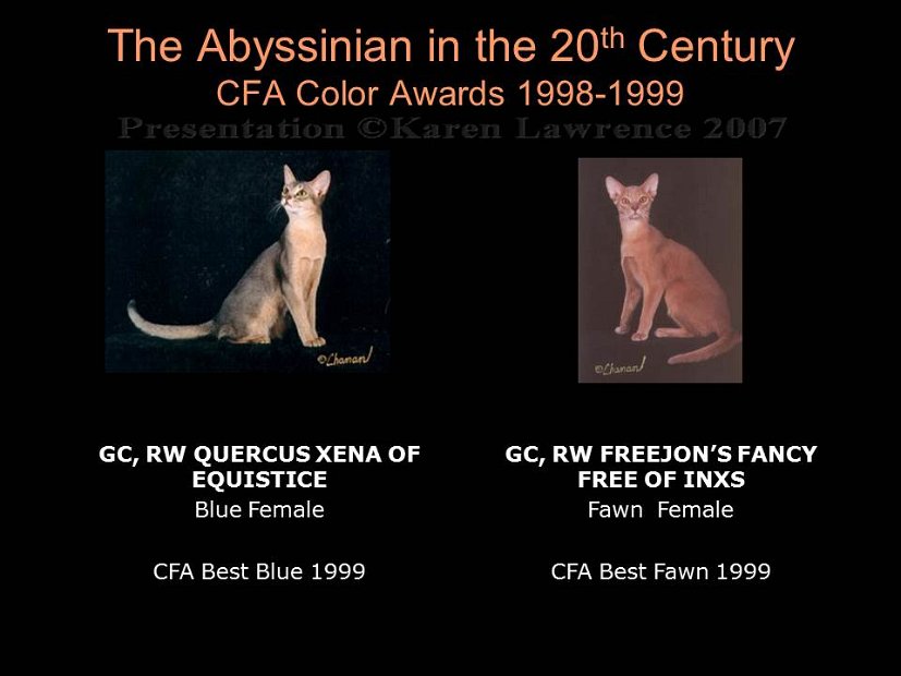 Slide439