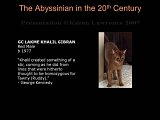 Slide247.JPG