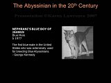 Slide248.JPG