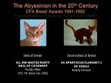 Slide272.JPG