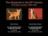 Slide285.JPG