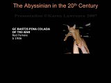 Slide312.JPG