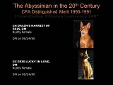 Slide353.JPG
