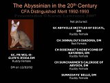 Slide371.JPG