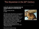 Slide383.JPG