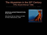 Slide405.JPG