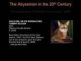 Slide406.JPG
