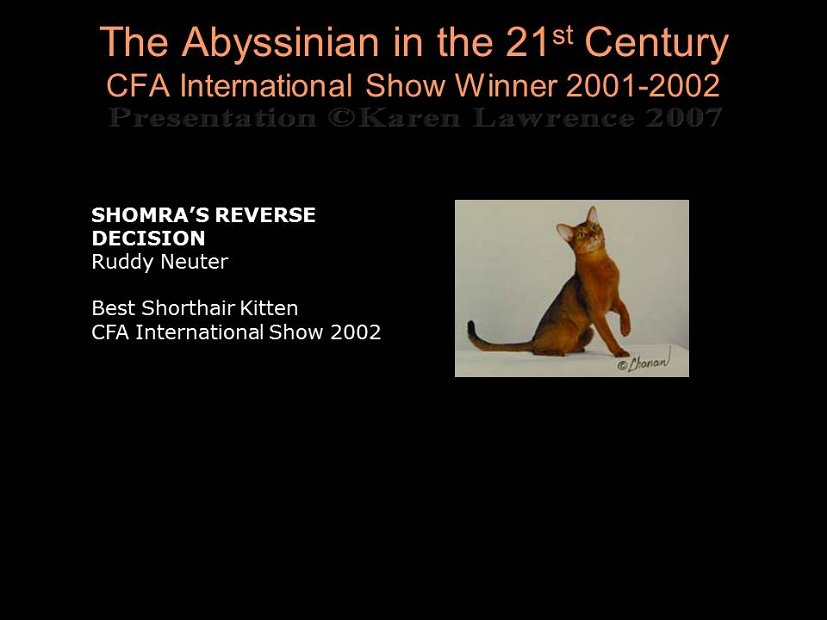 Slide473