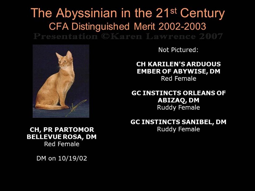 Slide481