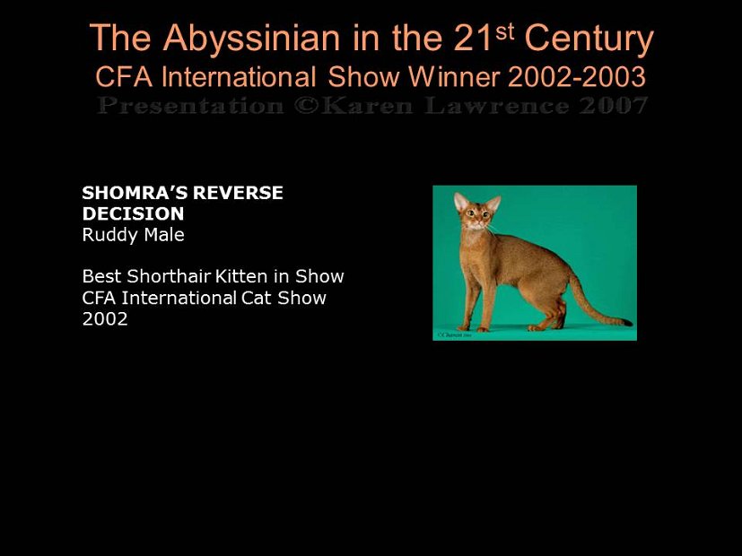 Slide483