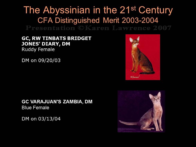 Slide490