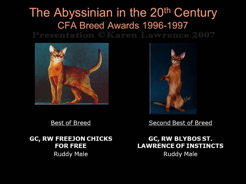 Slide407