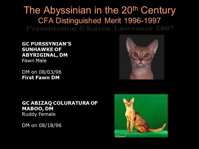 Slide408