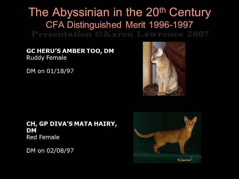 Slide409