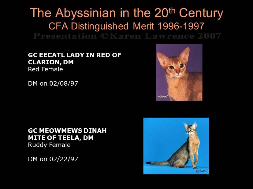 Slide410