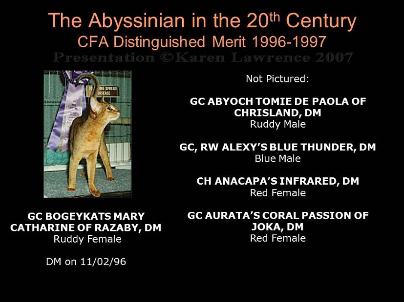 Slide411