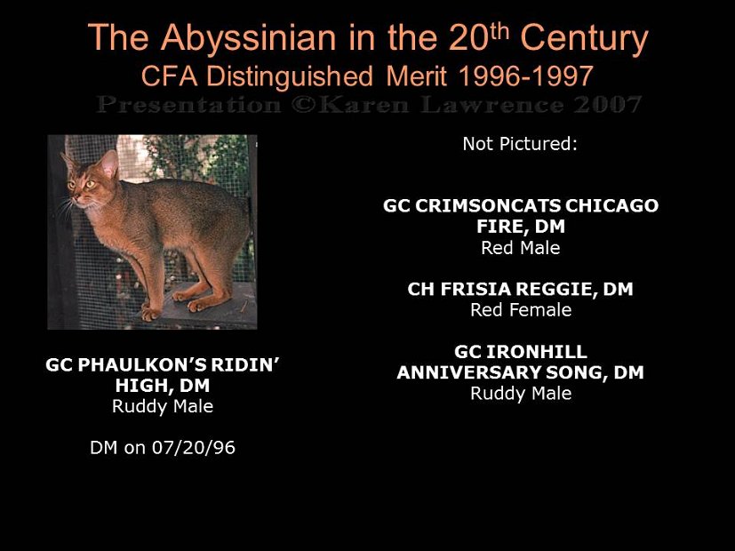 Slide412