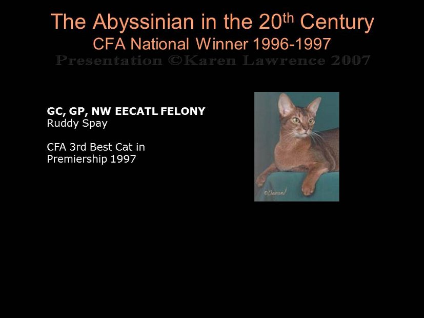 Slide413
