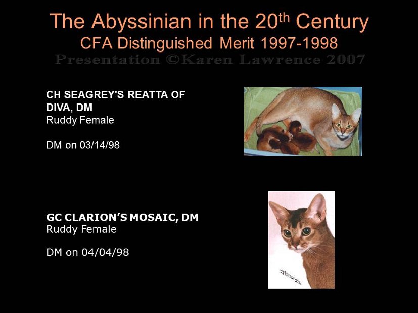 Slide419
