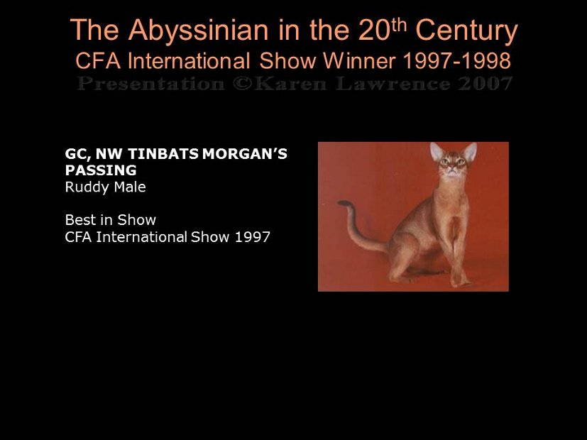 Slide424
