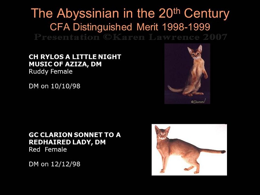 Slide428