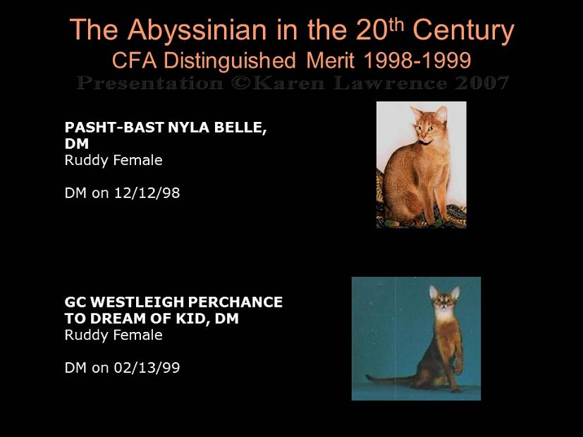 Slide429