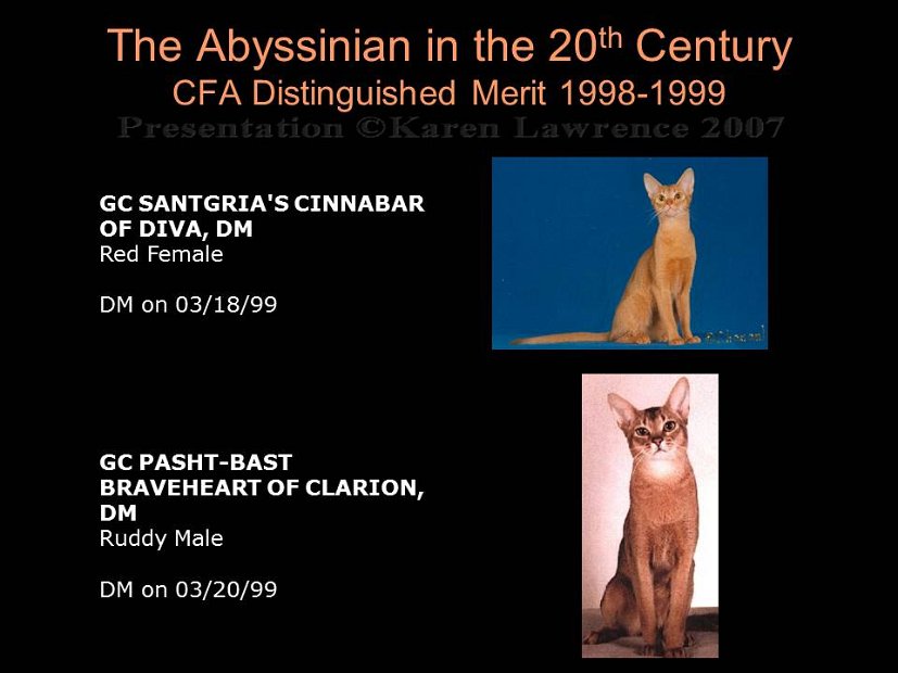 Slide431