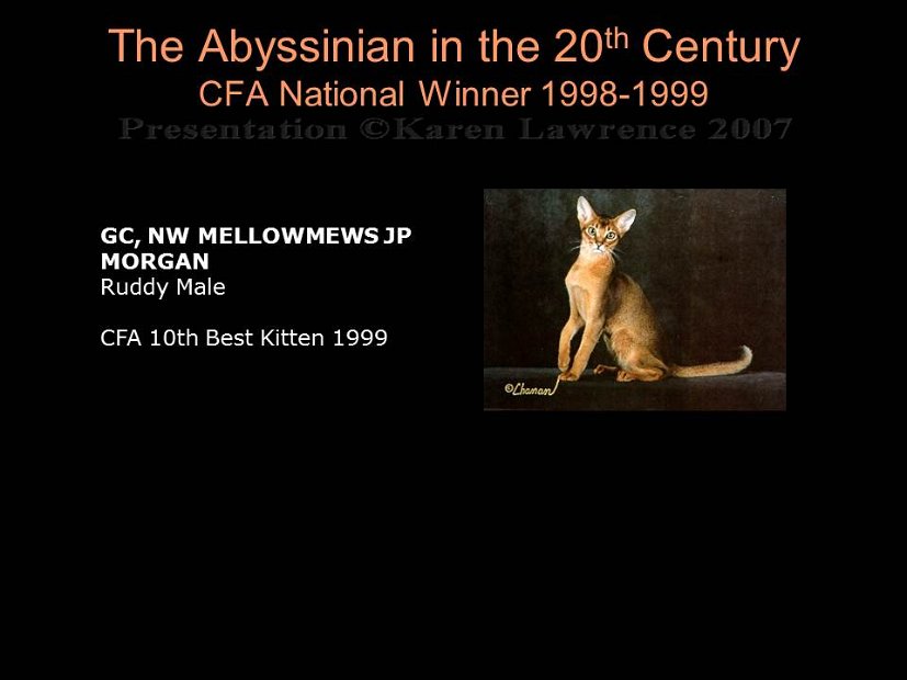 Slide436
